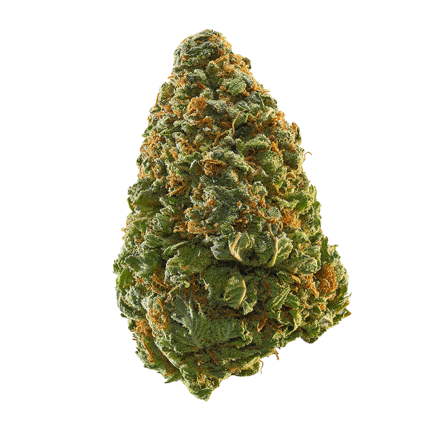 7 Easiest Cannabis Strains to Grow for Beginners