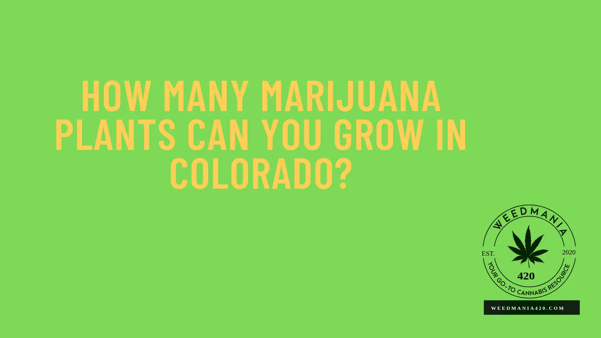 How Many Marijuana Plants Can You Grow in Colorado?