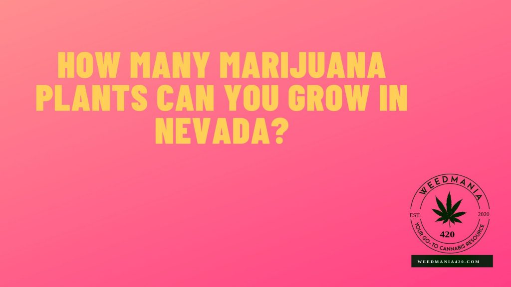 How Many Cannabis Plants Can You Grow in Nevada? WeedMania420