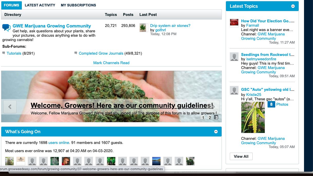 10 Best Cannabis Growing Forums in 2020 WeedMania420