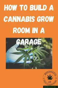 Growing weed in garage