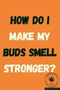 How Do I Make My Buds Smell Stronger?