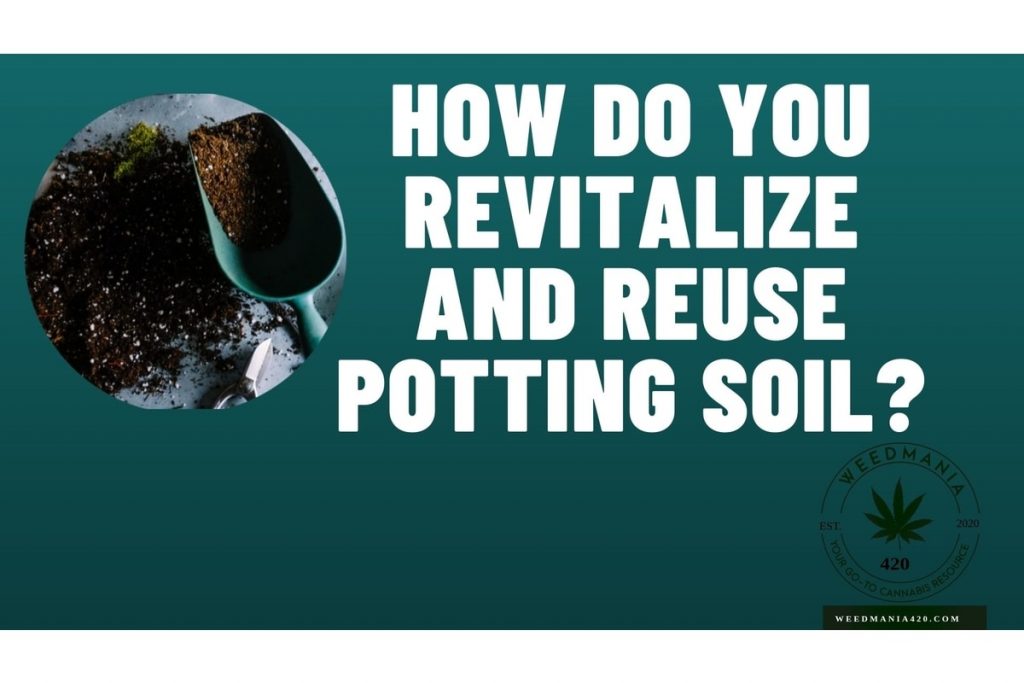 How Do You Revitalize and Reuse Potting Soil? WeedMania420