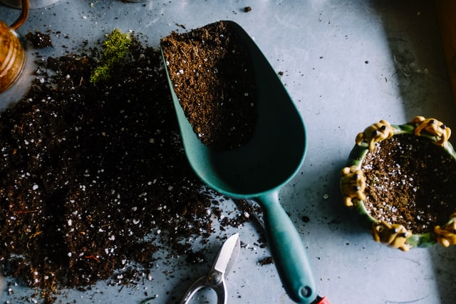 How Do You Revitalize and Reuse Potting Soil?