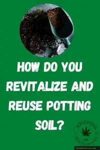 How Do You Revitalize and Reuse Potting Soil?