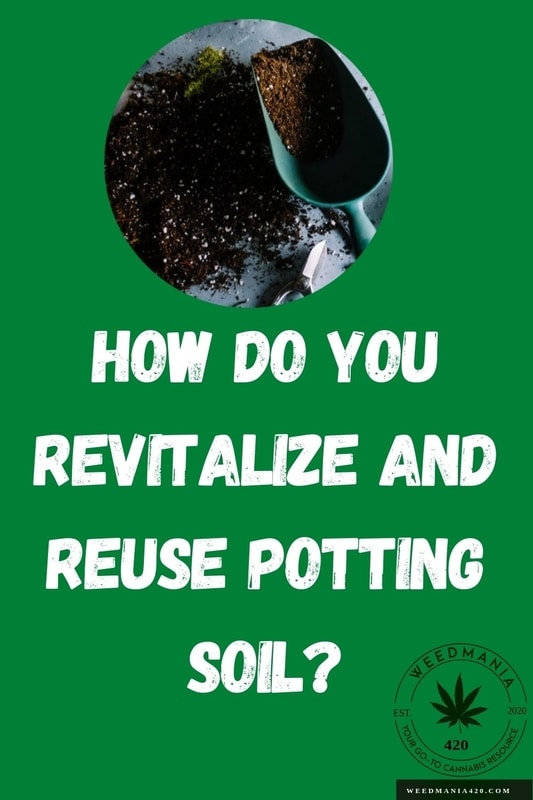 How Do You Revitalize and Reuse Potting Soil? WeedMania420