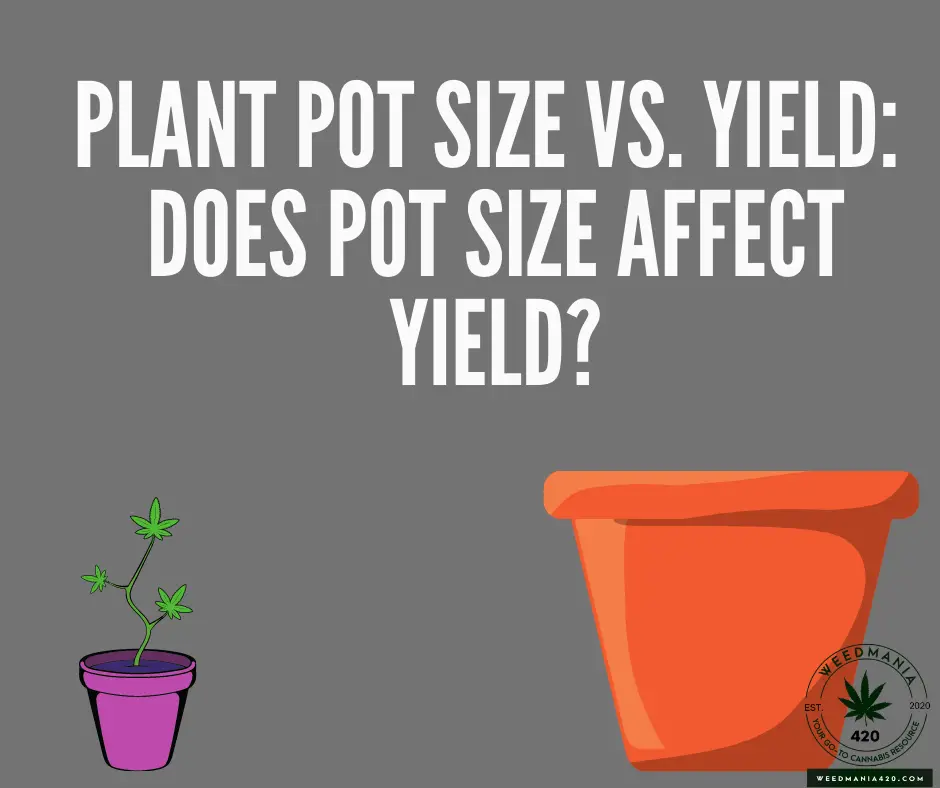 Plant Pot Size vs. Yield: Does Pot Size Affect Yield?