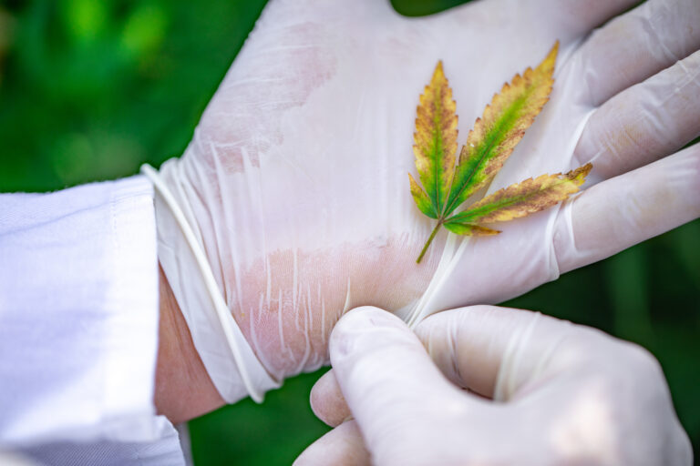 How To Treat Nutrient Burn During Flowering(Plus Tips and Risks