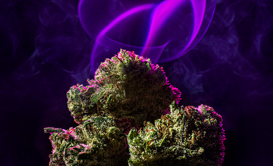 Banana Punch Strain