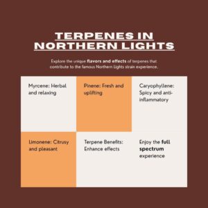 Instagram Post - Discover the Terpenes in Northern Lights