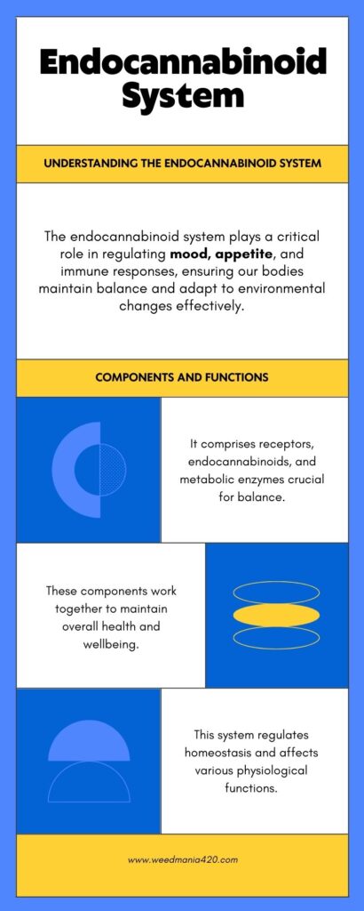 Infographic - Endocannabinoid System