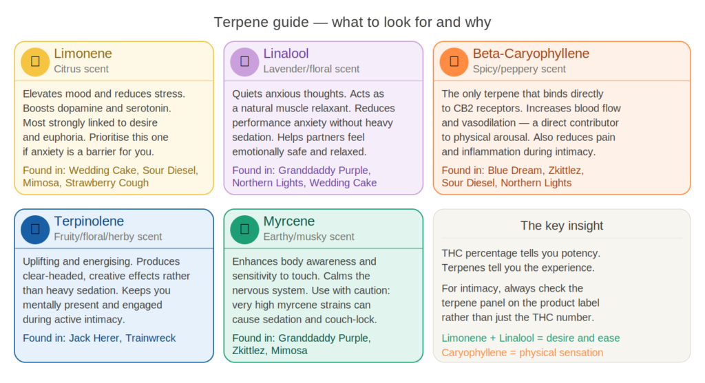 Cannabis terpene guide for intimacy — limonene, linalool, caryophyllene, terpinolene, myrcene