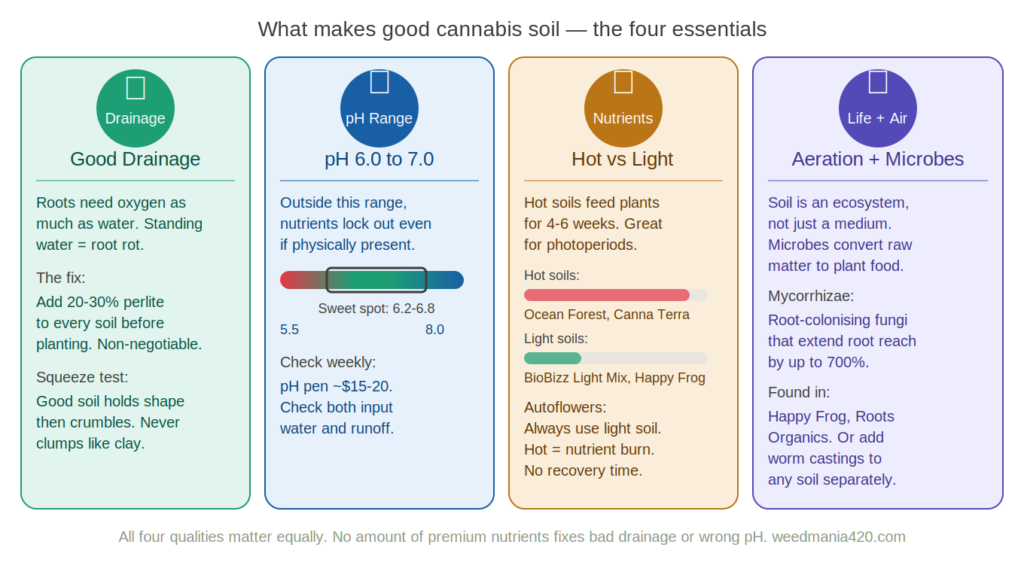 weedmania-cannabis-soil-essentials