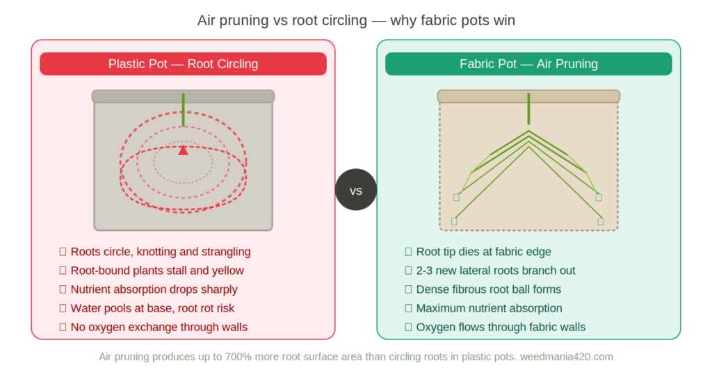 Air pruning vs root circling — why fabric pots produce better cannabis than plastic pots