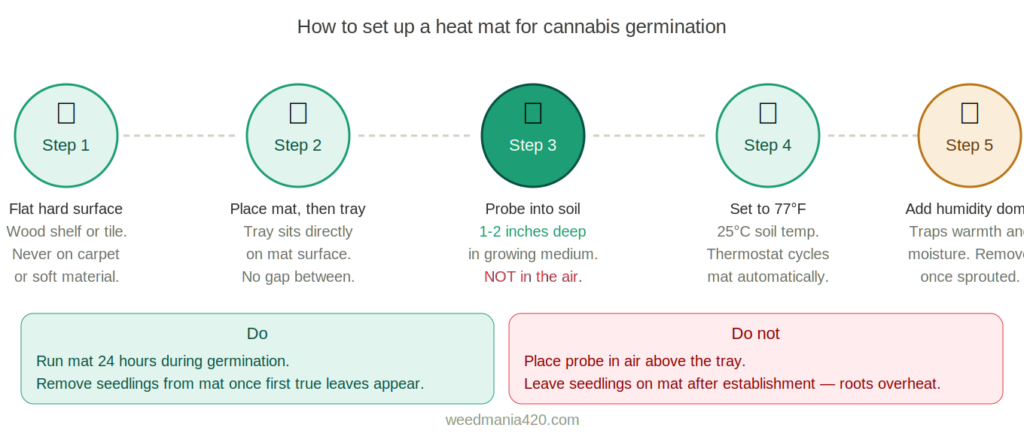 How to set up a seedling heat mat for cannabis