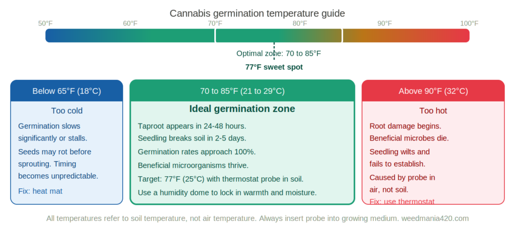 Cannabis germination temperature guide