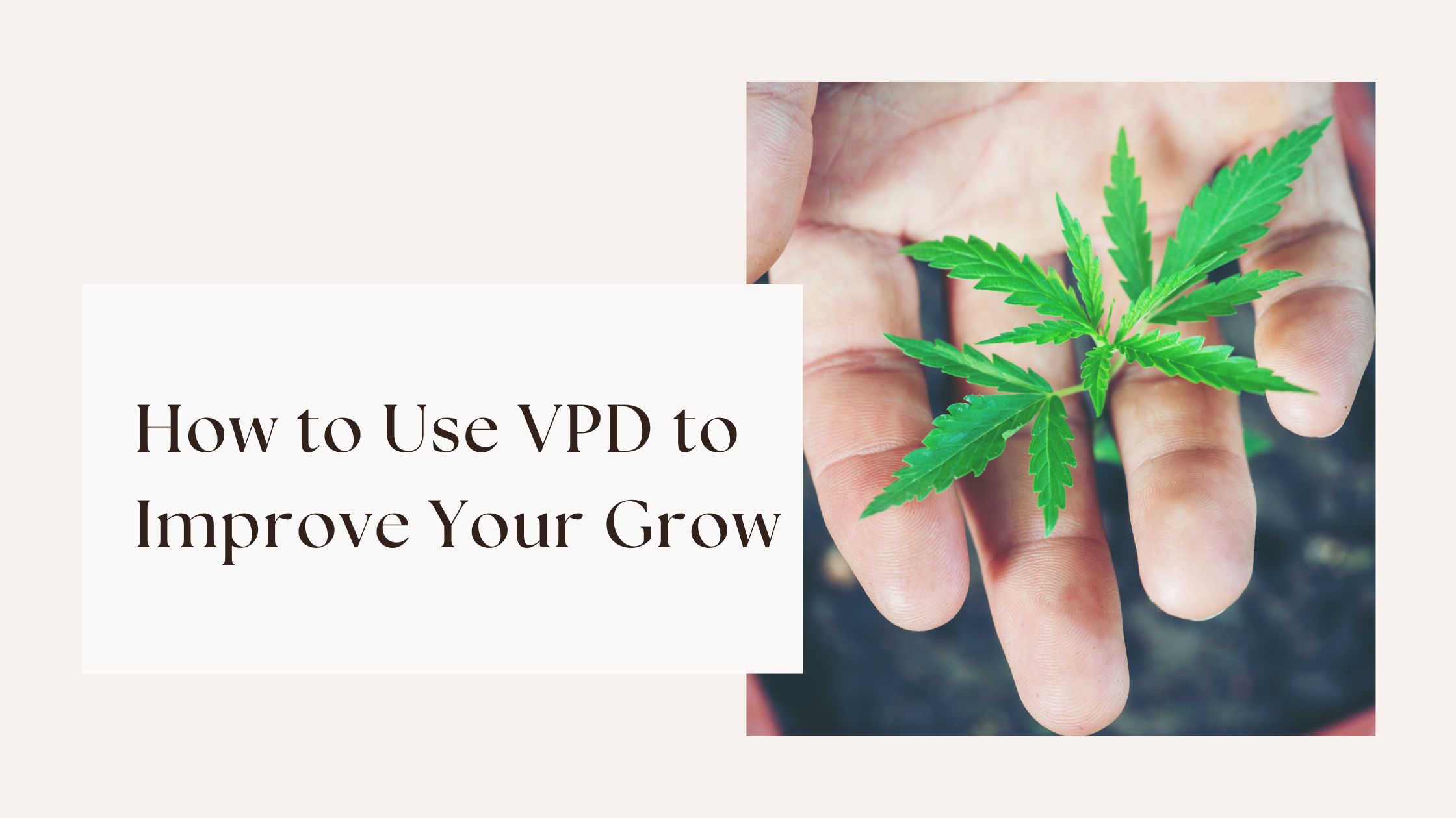 How to Use VPD to Improve Your Grow