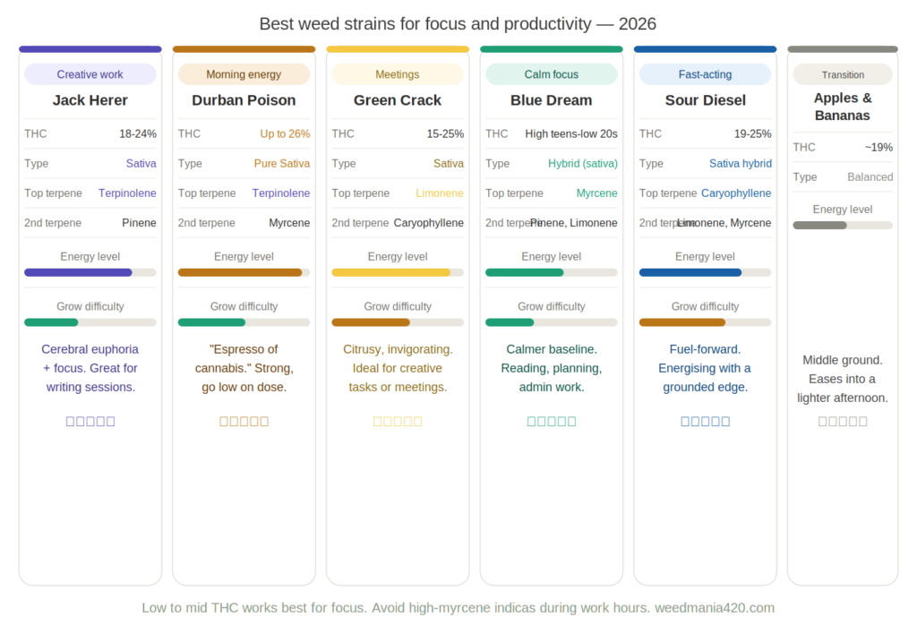weedmania-focus-strains-comparison Best Strains for Focus and Productivity