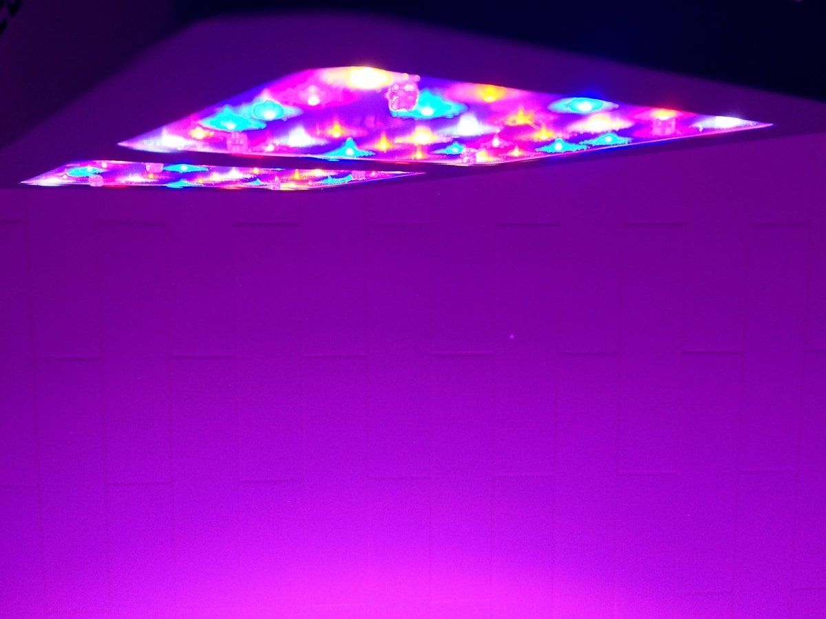 6 Best Led Grow Lights Under $500 for Cannabis